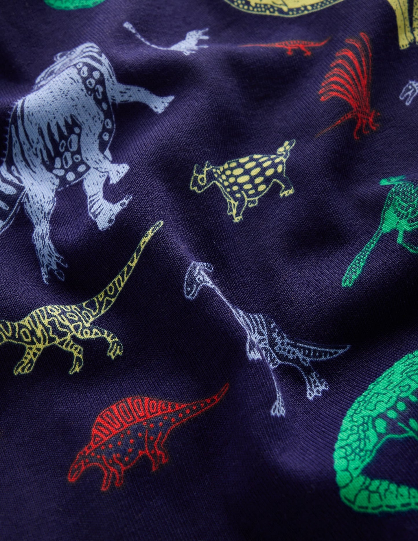 Snug Twin Pack Pyjamas-Dinos