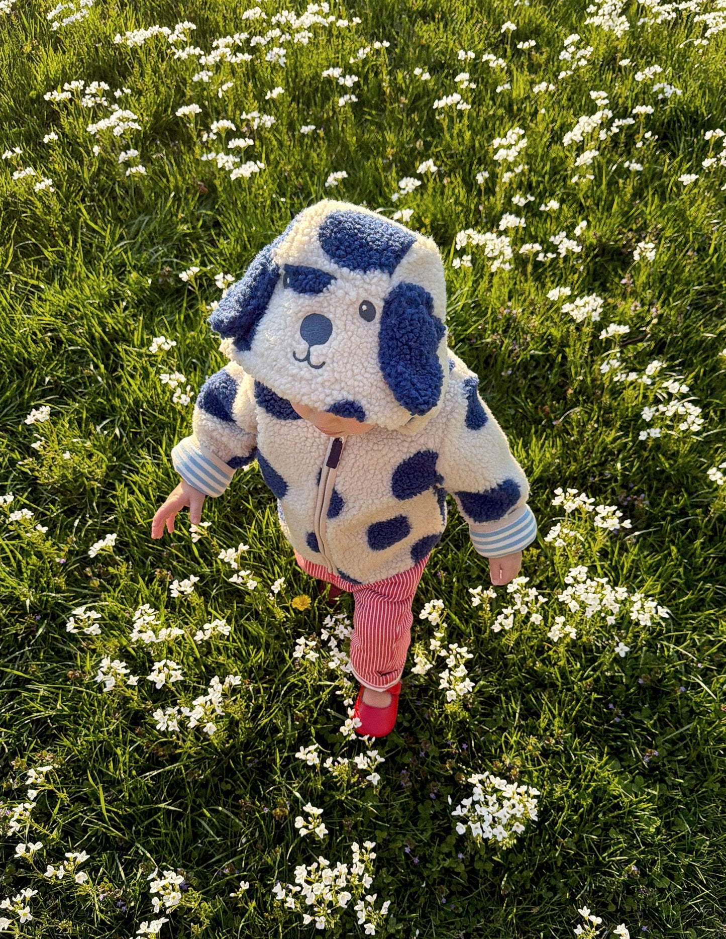 Novelty Cosy Borg Jacket-Navy & Ivory Dog