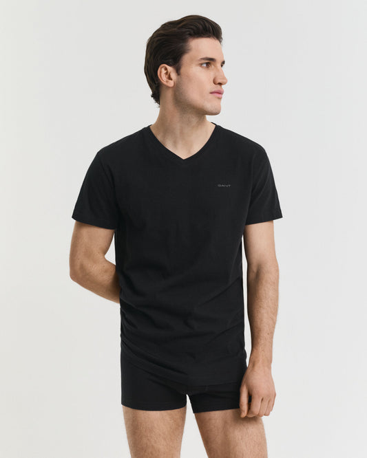 Lot de 2 t-shirts col V